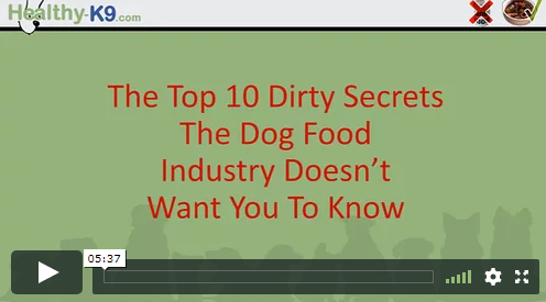 Top 10 Dirty Dog Food Secrets