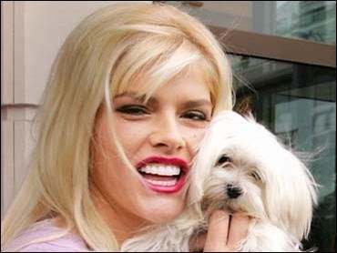 Anna Nicole Smith's Maltese dog