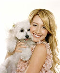 Ashley Tisdale & Maltipoo Blondie