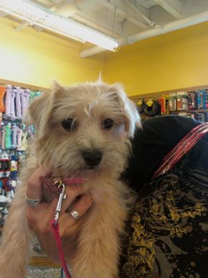 The day I found our little girl....7/1/09