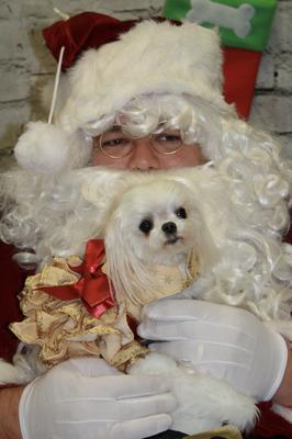 Ava visits Santa....in style.