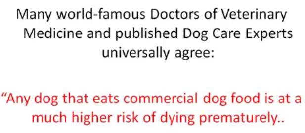 Dog food dangers