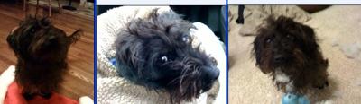 Here are three of our favorite pics of Zar.