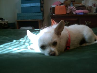 This is her about a year ago on the bed.