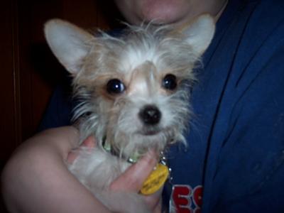 Be still for your close-up, Tiny!