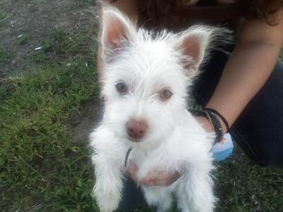 he is just toooo cute XD