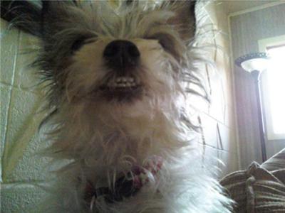 A Smile to Brighten the Day