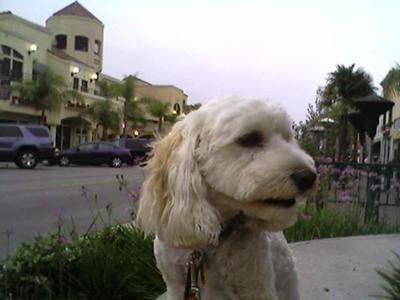 Riley Downtown Huntington Beach