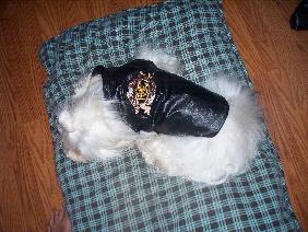 Gordon wearing his Harley vest