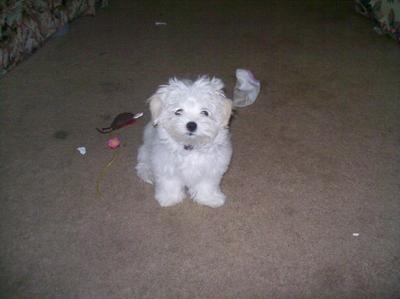 So I snitched a sock. It was only one!!!!!