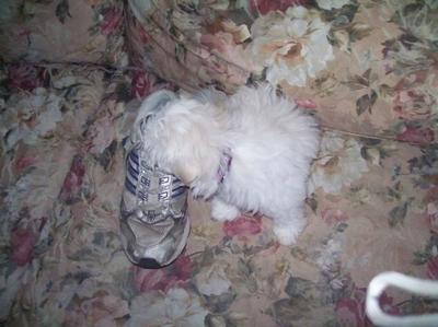 WoW this is really disgusting