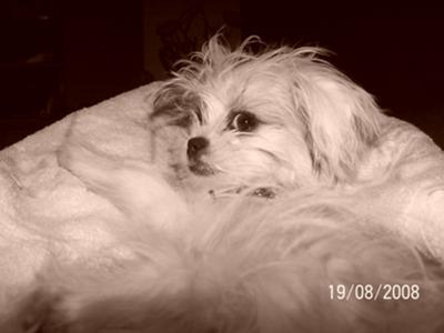 Bijoux, the movie star