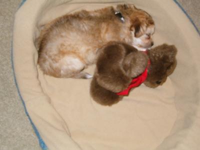 Button with her buddy