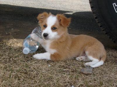 Posing for the camera