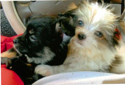 getting in our pouch....3 months