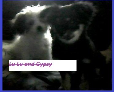 web camming and love to type! lol