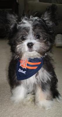 Kegan ready for the game!