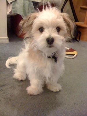 He's a devil in disguise!