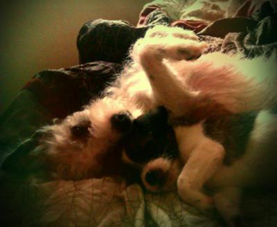 Vida (older) Benny (younger)