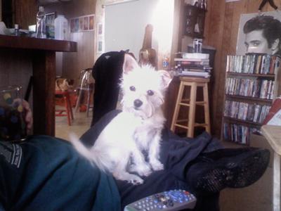 sitting on daddys lap going hello