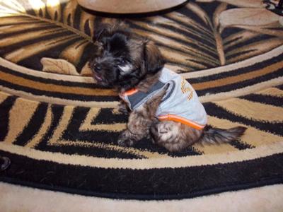 Ryder's first day home - 8 weeks