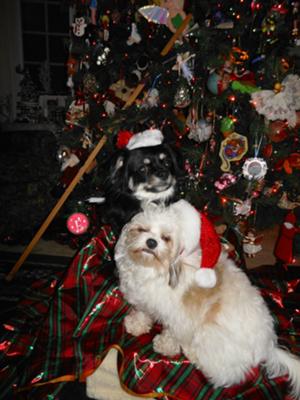 xmas 2011