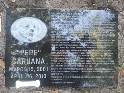 Pepe's Memorial Headstone