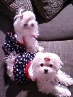 Icee and Ayoki