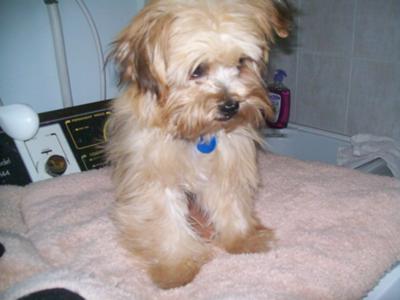 (Darcy) Soooo Cute!!!