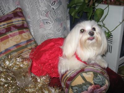 ~Will somebody please fill my Champagne glass wif someting good~