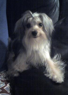 Daphne at almost 10 mos.