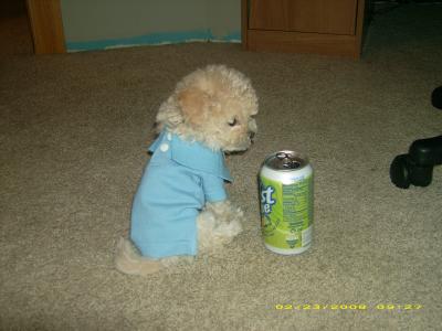 Wow can I drink that?