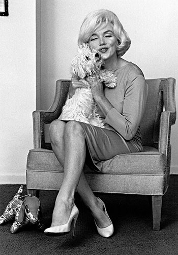 Marilyn Monroe's Maltese dog