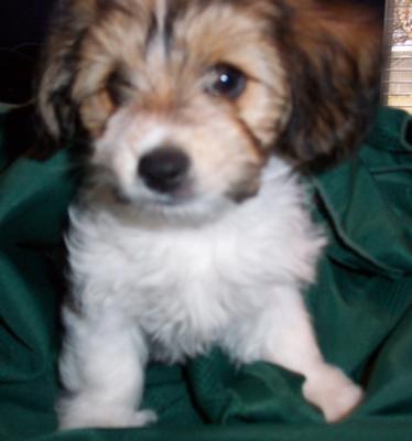 Missee age three months