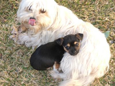 Lucy with her mum