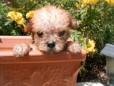  Alexander (the great!)