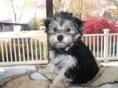 Beautiful Bella