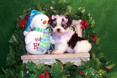 My girl at 6 weeks old