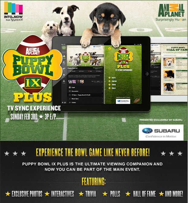 Subaru Puppy Bowl App