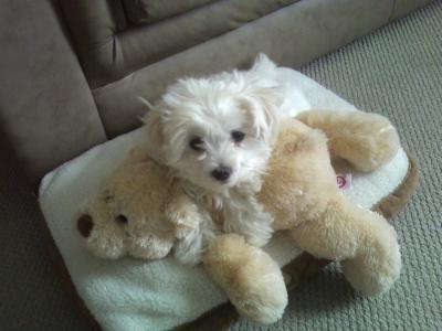 What can I say just look