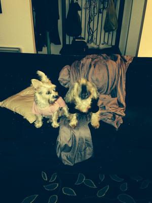 Sitting with one of her sisters