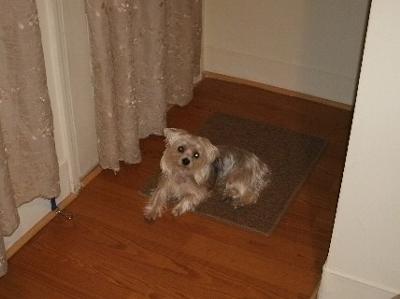 waiting for me to fix dinner......