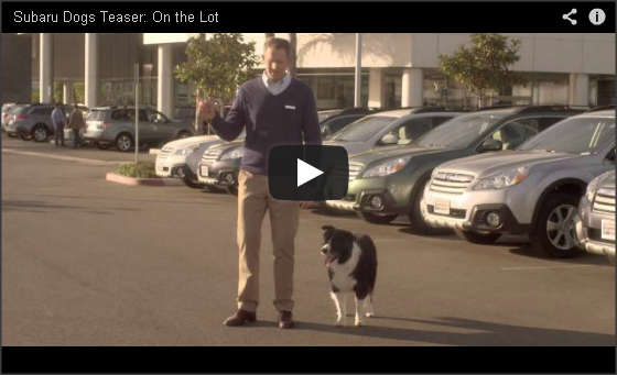 Subaru Dog Tested Video