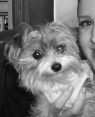 I'm a little teacup!