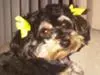Dodi Ross - 3 years old