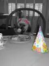 Of course we had a party!