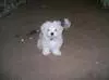 So I snitched a sock. It was only one!!!!!