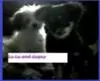 web camming and love to type! lol