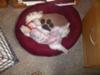 Charley, Exhausted 