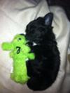 Sleeping @ 7 weeks